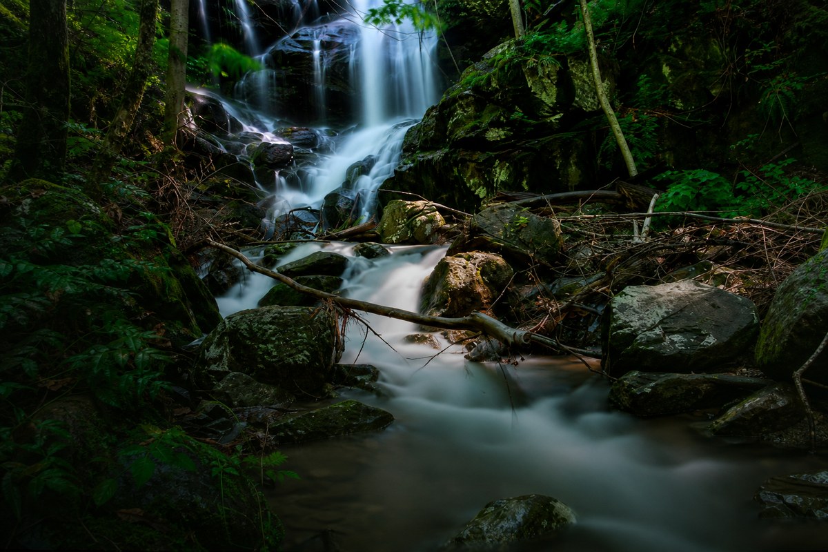 Waterfall flowing through a mossy Cascade forest